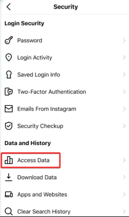 Instagram Access Data Feature in app
