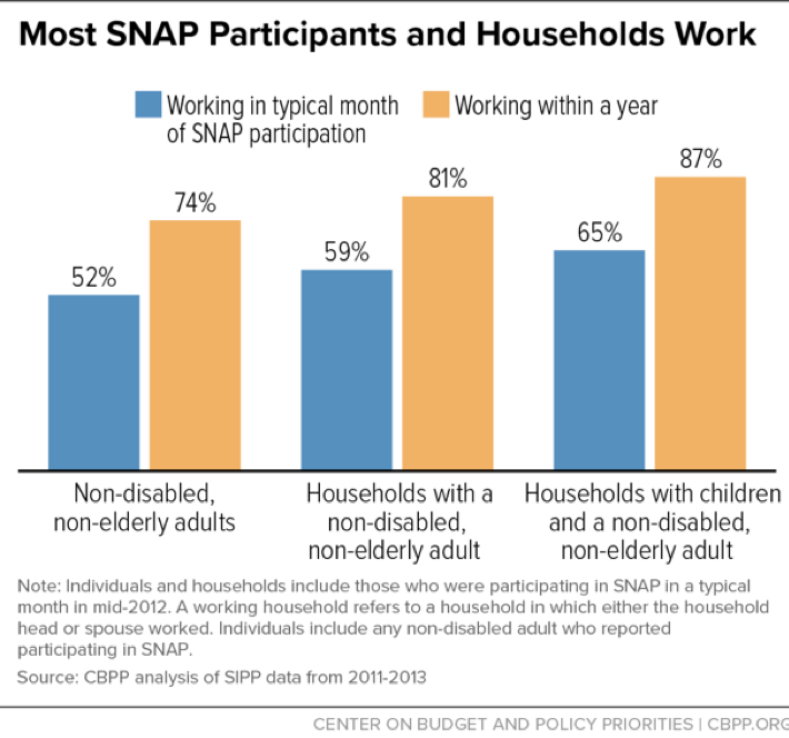 SNAP Participants Demographics