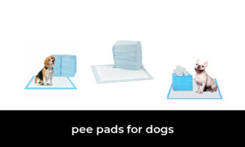 47 Best pee pads for dogs in 2022: According to Experts.