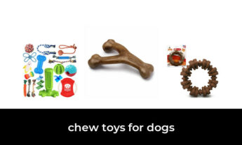 48 Best chew toys for dogs in 2022: According to Experts.