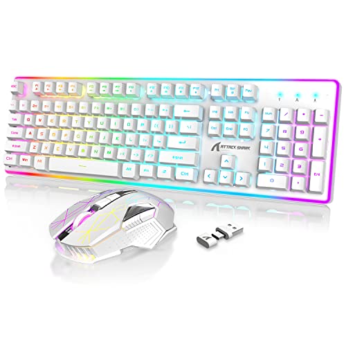 2.4G Wireless Gaming Keyboard and Mouse,Type C USB Dual Receiver,RG...