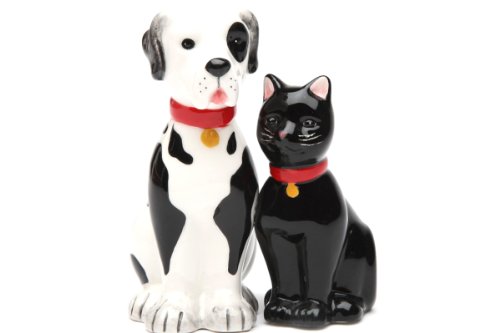 Pacific Giftware Dog and Cat Good Friends Magnetic Ceremic Salt and...