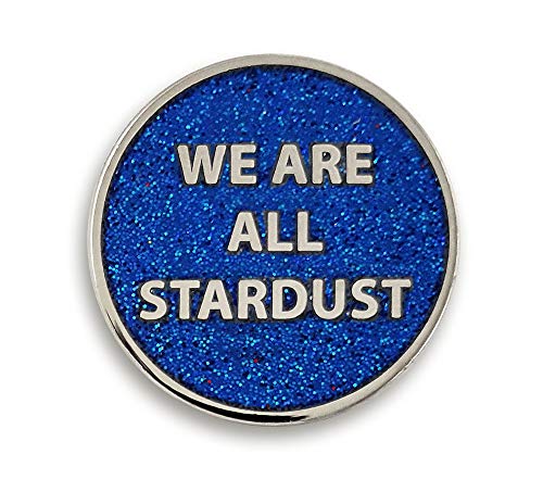 Pinsanity  We Are All Stardust  Enamel Lapel Pin...